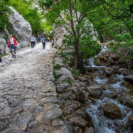 Apartment Maca Starigrad Paklenica Exteriér fotografie